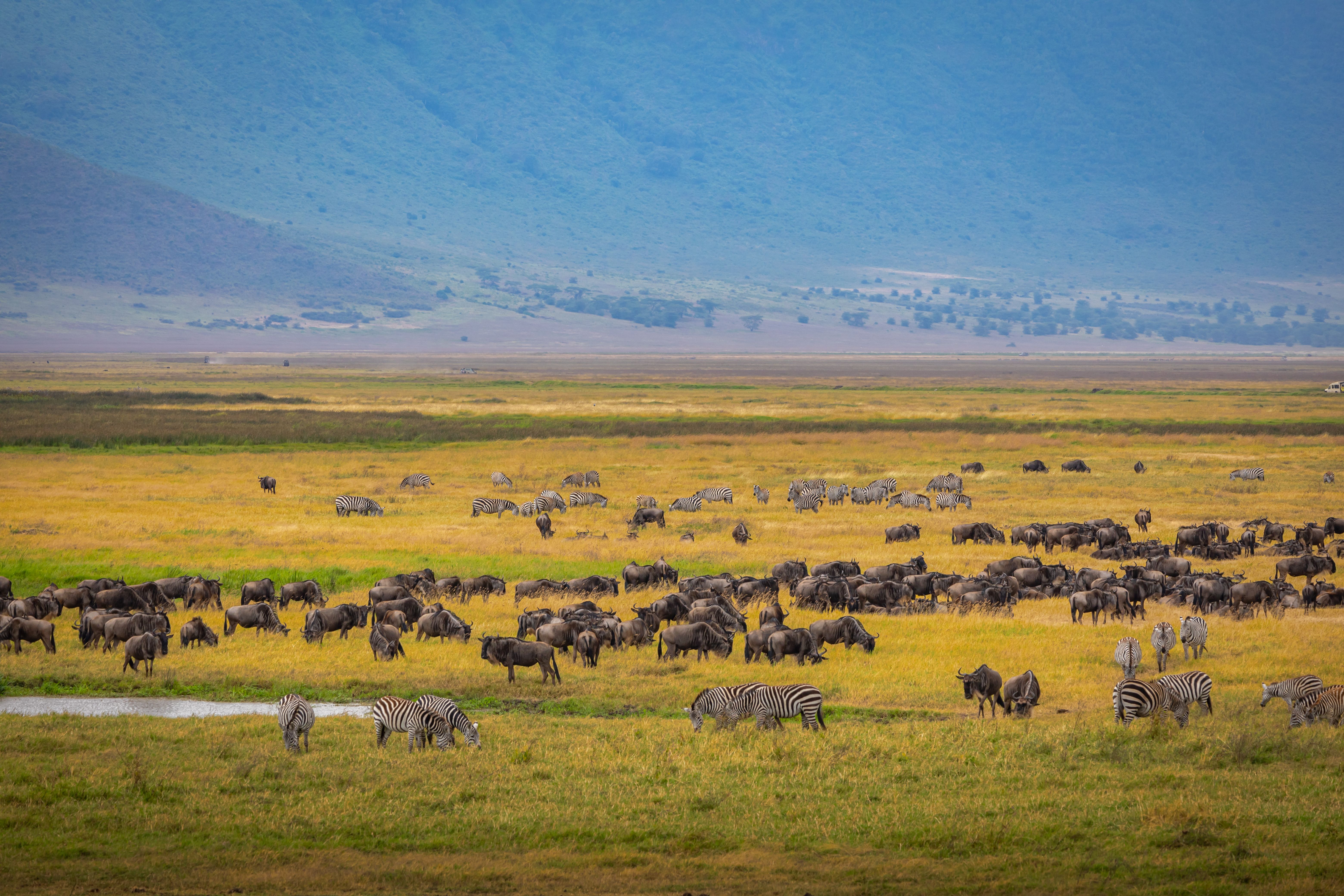 Protected Areas
